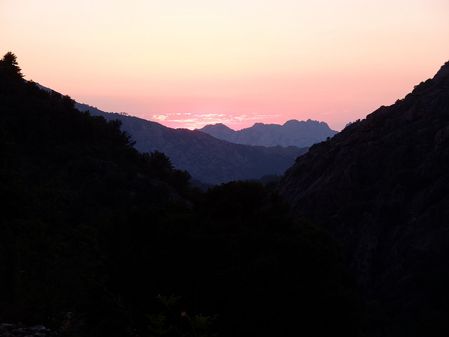 36282760441_8d619eb5c9_z