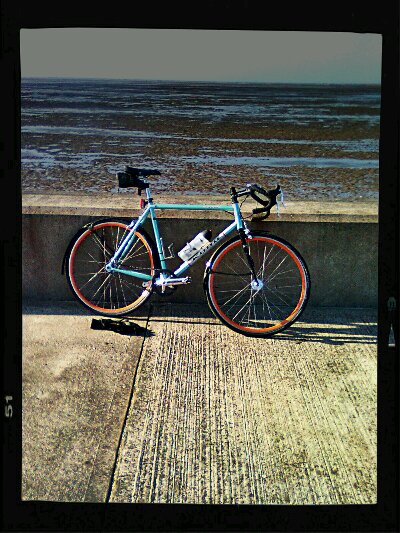 Image0304_Hagrid_Wdgrad_Swollen.jpg image