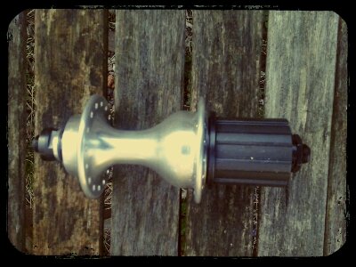 2013-04-27 07.59.29_Adrian_Yellow_Ground.jpg image