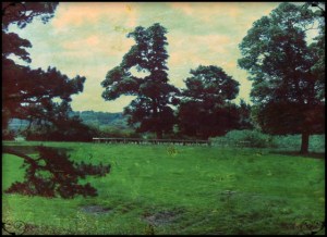 Staunton Harold, Leics