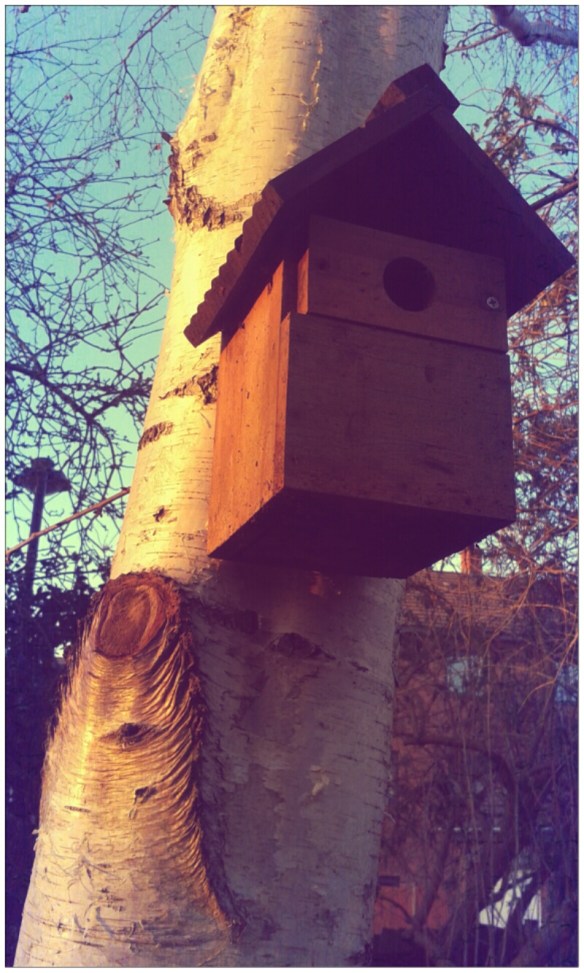 20160119_155520_Mesnes Green_Merissa_Pen_Clean.jpg image