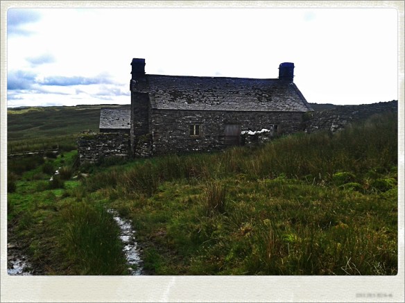 20150722_160048_Hagrid_Ndgrad_Nolariod.jpg image