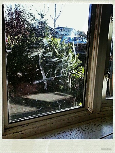 2014-01-09 12.51.42_Hagrid_Ndgrad_Nolariod.jpg Windowsil