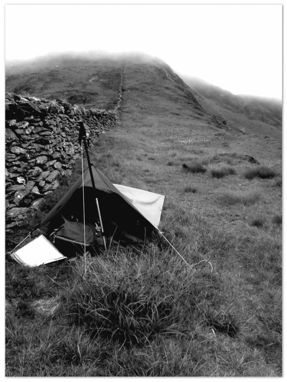 IMG_20150721_212007_Soft.jpg image