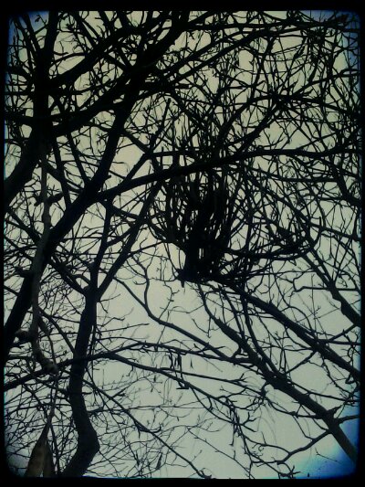 2013-03-20 06.56.28_Sanna_Ndgrad_Hassel.jpg image