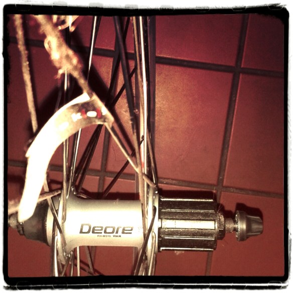 20150131_072841_Julia_Bluegrad_Sloppy.jpg image