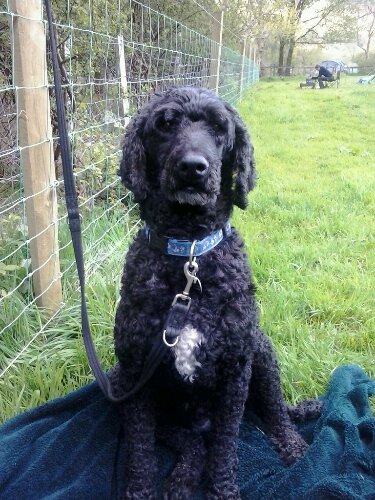 2013-05-30 19.02.33.jpg image