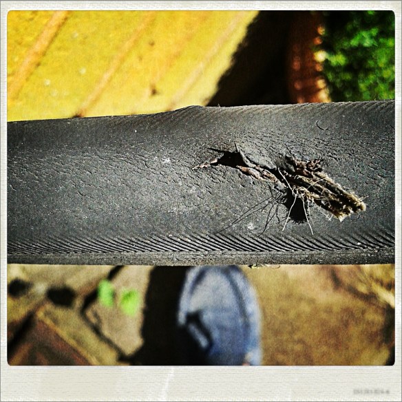 IMG_20150607_184759_Hagrid_Skin_Nolariod.jpg image