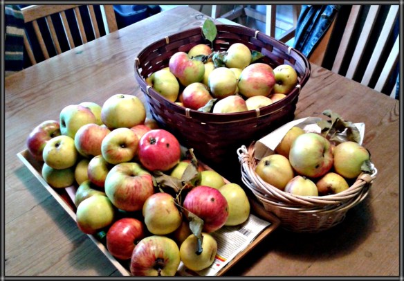 IMG_20150926_160025.jpg image