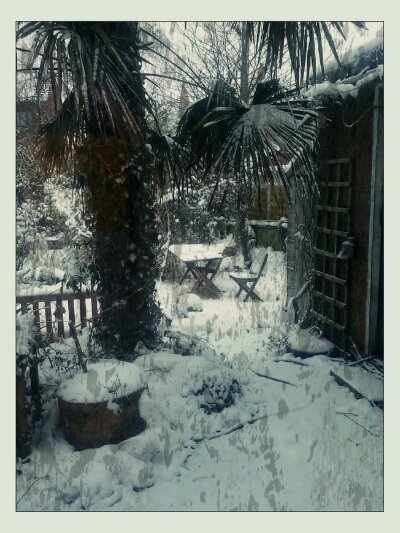 2013-03-24 06.53.08_Sanna_Speckled_Creamline.jpg image