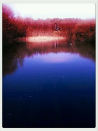 2013-04-27 18.10.09_Samantha_Ndgrad_Green.jpg image