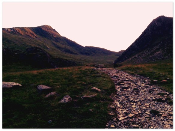 20150719_210959_Anne_Red_Soft.jpg image