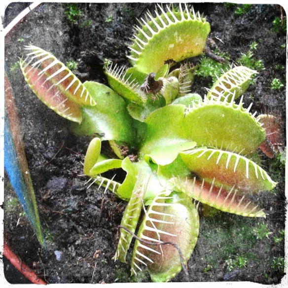 IMG_20150504_160720_Skin_Old.jpg image