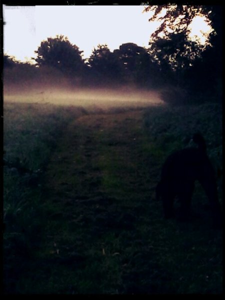 2013-09-04 06.28.36_Anne_Blue_Cleaner.jpg image