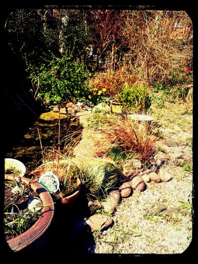 2013-04-20 13.07.21_Pond Pond