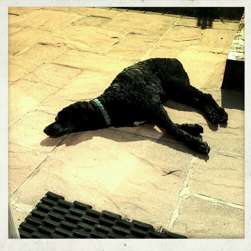 2013-07-14 16.41.52_Julia_Ndgrad_Pape.jpg image