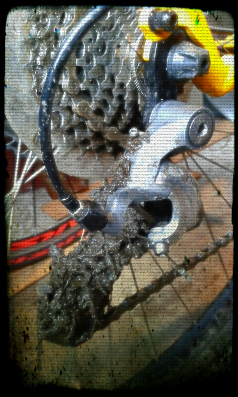 20160130_114245_Sara_Harsh_Dirt.jpg image